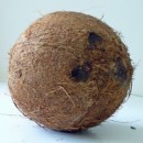 Kokos z lateksem – idealnie dobrana para